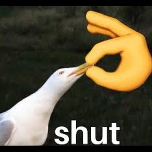 Meet your Posher, Samuel